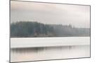 Wood Mount