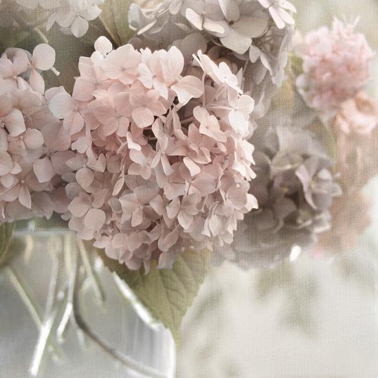 Photo, , large