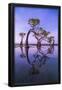 Essential Black