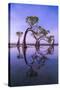 Stretched Canvas