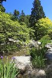 Japanese Garden in Seattle-Iriana Shiyan-Photographic Print