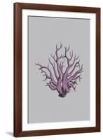 Iridescent Coral I-Maria Mendez-Framed Giclee Print