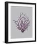 Iridescent Coral I-Maria Mendez-Framed Art Print