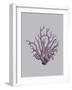 Iridescent Coral I-Maria Mendez-Framed Art Print