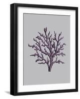 Iridescent Coral II-Maria Mendez-Framed Art Print