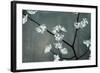 Iridesent Petals-Sydney Edmunds-Framed Giclee Print