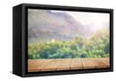 Canvas Black