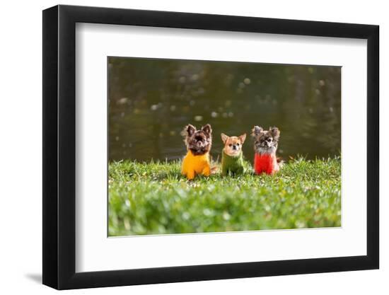 Photographic Print, , large