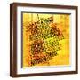 Brown Frame