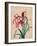 Iris, 1812-null-Framed Giclee Print