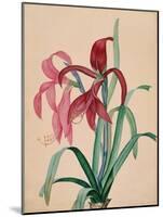 Iris, 1812-null-Mounted Giclee Print