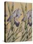 Iris, 1898-Kolo Moser-Stretched Canvas