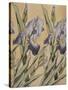 Iris, 1898-Kolo Moser-Stretched Canvas