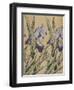 Iris, 1898-Kolo Moser-Framed Premium Giclee Print