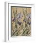 Iris, 1898-Kolo Moser-Framed Premium Giclee Print