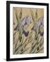 Iris, 1898-Kolo Moser-Framed Giclee Print