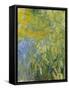 Iris, 1914-17-Claude Monet-Framed Stretched Canvas