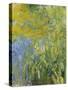 Iris, 1914-17-Claude Monet-Stretched Canvas