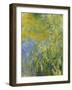 Iris, 1914-17-Claude Monet-Framed Giclee Print