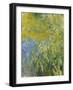 Iris, 1914-17-Claude Monet-Framed Giclee Print