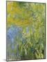 Iris, 1914-17-Claude Monet-Mounted Giclee Print
