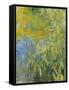 Iris, 1914-17-Claude Monet-Framed Stretched Canvas