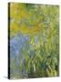 Iris, 1914-17-Claude Monet-Stretched Canvas