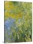 Iris, 1914-17-Claude Monet-Stretched Canvas