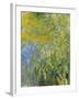 Iris, 1914-17-Claude Monet-Framed Giclee Print