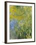 Iris, 1914-17-Claude Monet-Framed Giclee Print