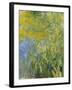 Iris, 1914-17-Claude Monet-Framed Giclee Print