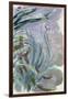 Iris, 1924-25-Claude Monet-Framed Giclee Print