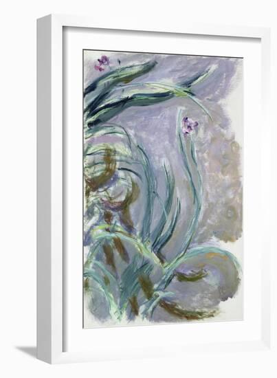 Iris, 1924-25-Claude Monet-Framed Giclee Print