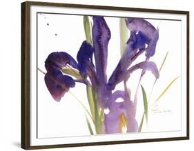 Iris, 1987-Claudia Hutchins-Puechavy-Framed Premium Giclee Print