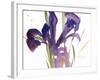 Iris, 1987-Claudia Hutchins-Puechavy-Framed Giclee Print