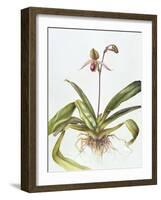 Iris, 1995-Margaret Ann Eden-Framed Giclee Print