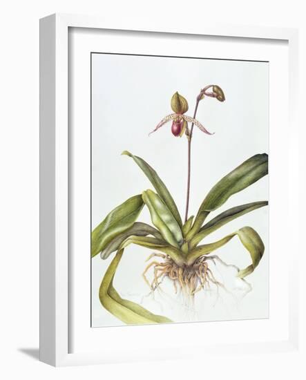 Iris, 1995-Margaret Ann Eden-Framed Giclee Print