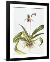 Iris, 1995-Margaret Ann Eden-Framed Giclee Print