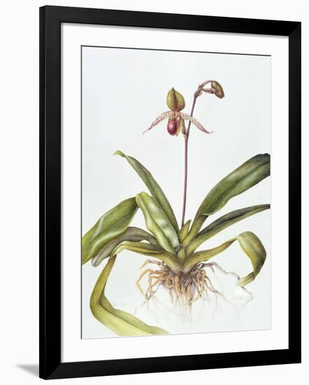 Iris, 1995-Margaret Ann Eden-Framed Giclee Print