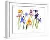 Iris, 2014-John Keeling-Framed Giclee Print