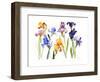 Iris, 2014-John Keeling-Framed Giclee Print