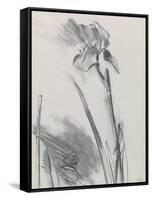 Iris 2-William Packer-Framed Stretched Canvas