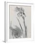 Iris 2-William Packer-Framed Giclee Print