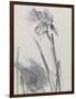 Iris 2-William Packer-Framed Giclee Print