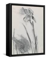 Iris 2-William Packer-Framed Stretched Canvas