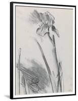 Iris 2-William Packer-Framed Premium Giclee Print