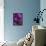 Iris Abstract-Anna Miller-Framed Stretched Canvas displayed on a wall