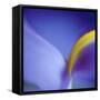 Iris Abstract-Anna Miller-Framed Stretched Canvas