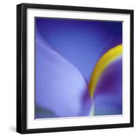 Iris Abstract-Anna Miller-Framed Photographic Print