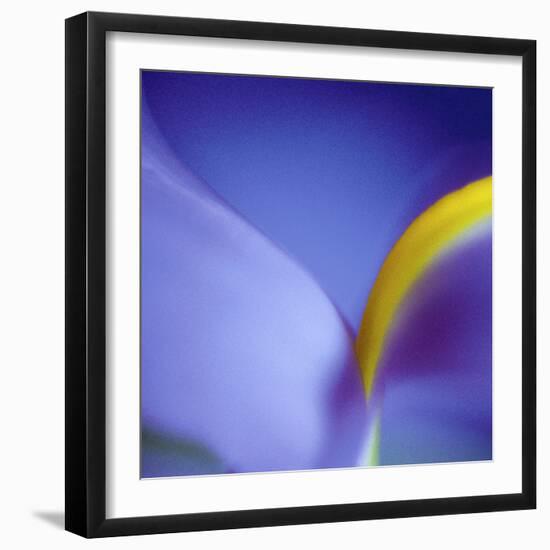 Iris Abstract-Anna Miller-Framed Photographic Print